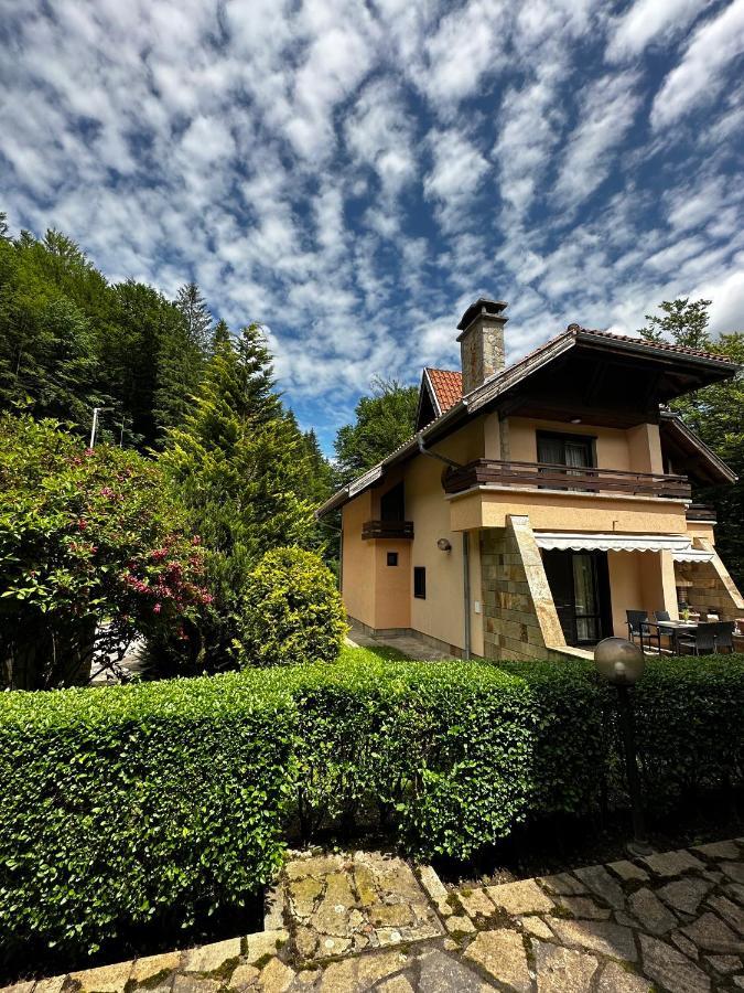 Вила 11 - Семейна Почивка В Сърцето На Балкана Ribarica Exterior photo
